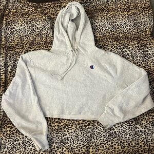 Champion Crop Hoodie